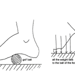Image from http://www.ahntaichi.com/fallen-arch-fixing.html