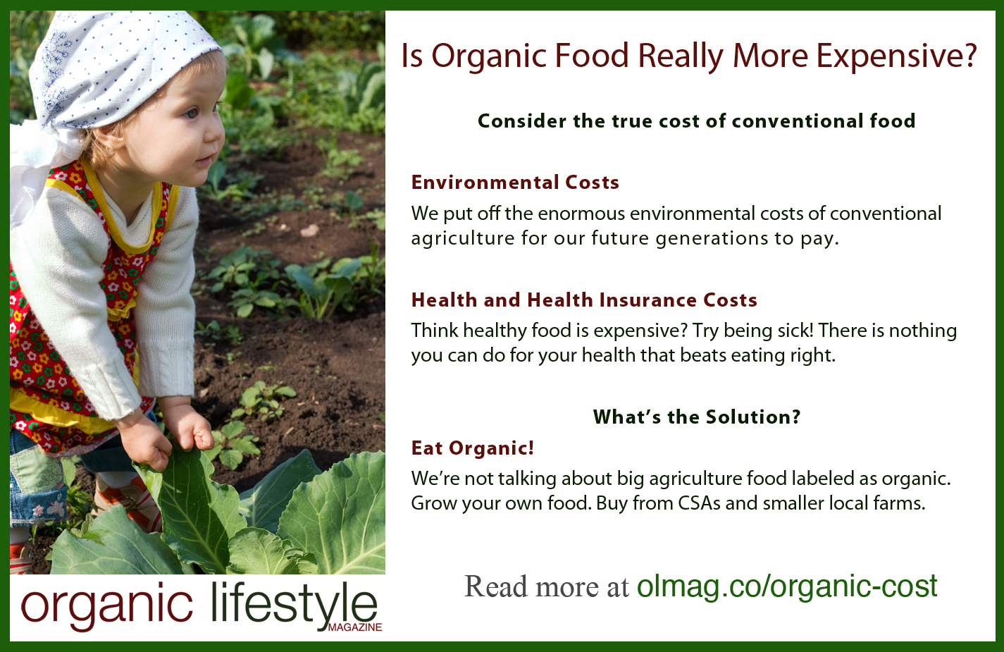 Organic Food Ideas 1