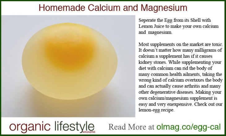 egg calcium infograhic