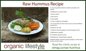 raw hummus recipe infographic