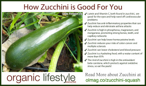 Zucchini health benefits