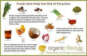 parasites infographic