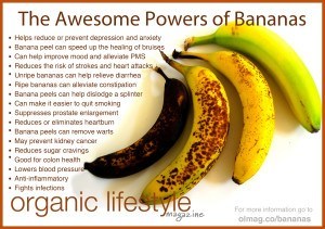 bananas-infographic