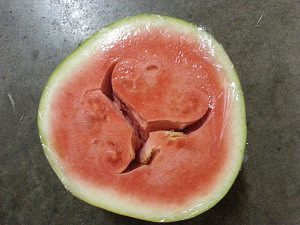 watermelon split heart