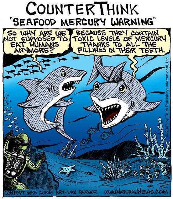 CounterThink Seafood mercury sharks