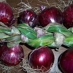 onion braid