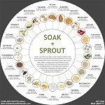 soak sprout chart