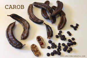 carob pods seeds and chips