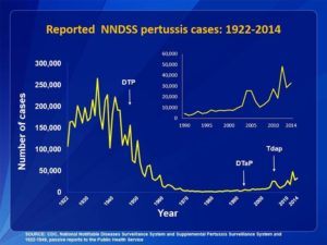CDC Graph Pertussis Cases