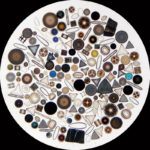 arranged-polished-diatoms